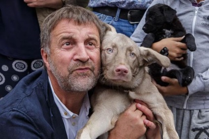 Leonid Yarmolnik tisztítás - az utcán a kóbor kutyák - egyszerűen barbárság