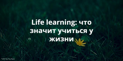 Învățarea vieții ce înseamnă să învățați din viață