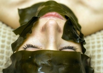 Водорасли маска за лицето се използва в дома на козметология