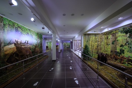 Muzeul Naturii - Rezervația Berezinsky