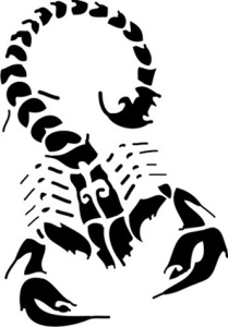 Omul Scorpion în anul șarpelui - astrologia pentru profesioniști