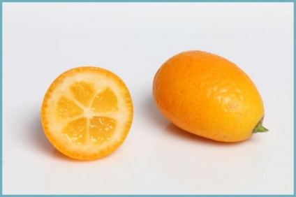 Pe ce fruct este similar cu kumquat, proprietăți utile, fructe uscate kumquat și rău fructe