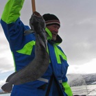 Halászati ​​Norvégia