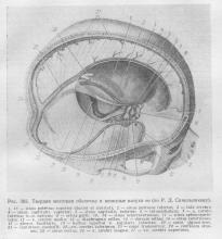 Shells of the brain, ghidul medicului