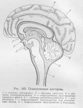 Shells of the brain, ghidul medicului