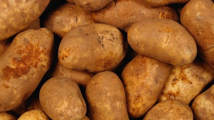 Descrierea soiurilor de cartofi fotografii, recenzii
