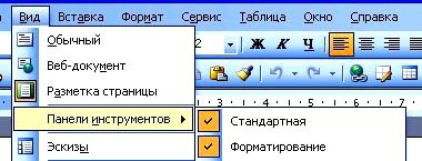 Elementele de bază ale programului Microsoft Word 2003, drumul către afaceri la calculator