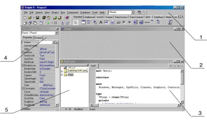 Elementele de bază ale activității în mediul delphi