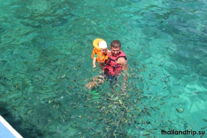 Vacanțe cu copii pe insula Koh Samui