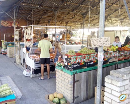 Se odihnește în grădină - Regiunea Odessa