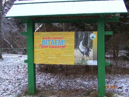 Despre turism Berezinsky biosfere rezerva de iarnă raport fotografie