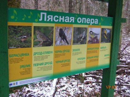 A turizmus Berezinsky Bioszféra Rezervátum Winter fotó története