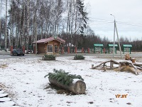 A turizmus Berezinsky Bioszféra Rezervátum Winter fotó története