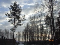 A turizmus Berezinsky Bioszféra Rezervátum Winter fotó története