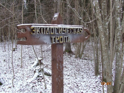 A turizmus Berezinsky Bioszféra Rezervátum Winter fotó története