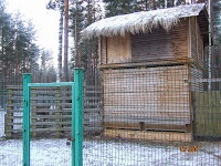 A turizmus Berezinsky Bioszféra Rezervátum Winter fotó története