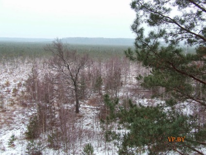 A turizmus Berezinsky Bioszféra Rezervátum Winter fotó története