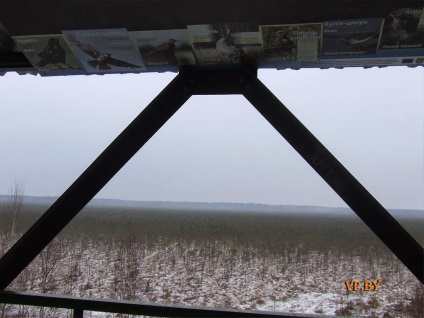 A turizmus Berezinsky Bioszféra Rezervátum Winter fotó története