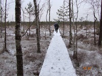 A turizmus Berezinsky Bioszféra Rezervátum Winter fotó története