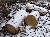 A turizmus Berezinsky Bioszféra Rezervátum Winter fotó története