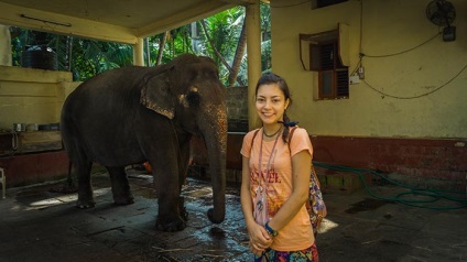 Tekintse át a látogató Udupiból India, árak, ayurveda, ház