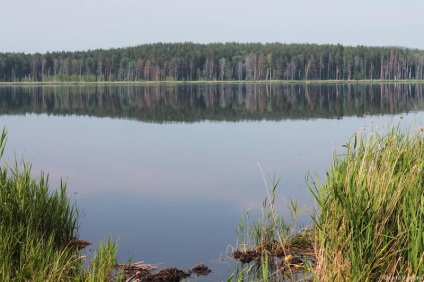 Lacul Sysert și ferma de cerbi