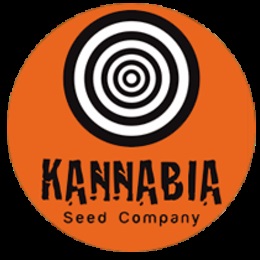 Pakaloco kannabia - cumpărați semințe de canabis și cannabis de marijuana de semințe de kannabia în magazinul online