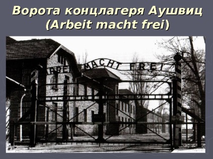 Memoriul despre Holocaust - calea spre profesor de toleranță