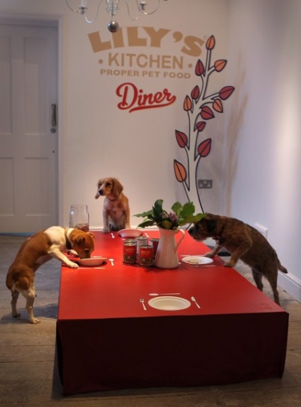 Az első étterem kutyáknak