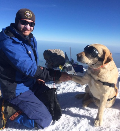 Animale de companie - Labradorii au cucerit Elbrusul