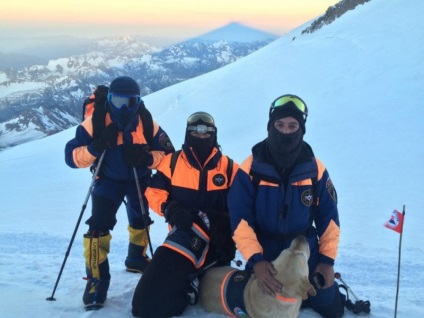 Animale de companie - Labradorii au cucerit Elbrusul