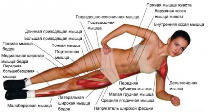 Plank este simplu, accesibil și eficient