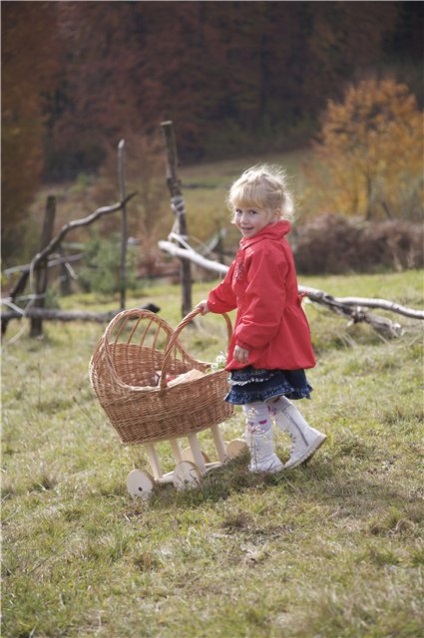 Wicker мебели, кошници, огради ... - кошница тъкане се предлагат уроци в село Иза