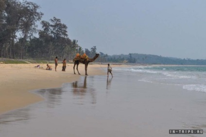 Paradise Beach Goa