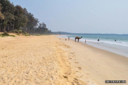 Beach Paradise Goa