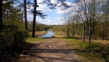 Miért veszélyes, hogy felvette a füle