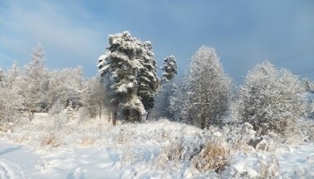 De ce este periculos să-ți alegi urechile