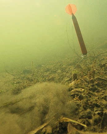 Secrete subacvatice caută punctul de prindere - karpush