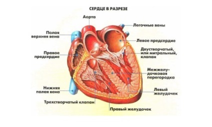 Consecințele aritmiei cardiace