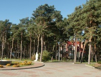 Guvernul a obligat oficialii municipali să voteze pentru regiunea Kaliningrad în 2009