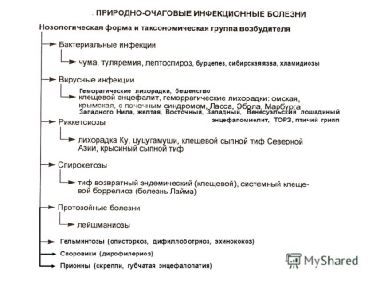 Prezentarea pe tema epidemiologiei lecturii a bolilor focale naturale