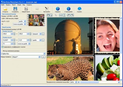 Egy program, hogy növelje PhotoZoom pro 4 digitális fotók