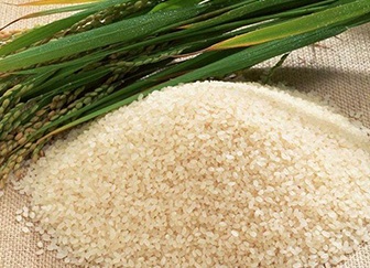 Producția de orez în cifre și fapte din Rusia pentru 2016