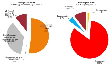 Producția de orez în cifre și fapte din Rusia pentru 2016