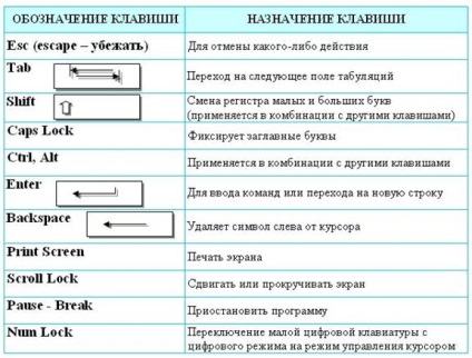 Conectori pentru dispozitive interne suplimentare (sloturi) - informatică, programare