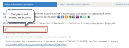 Înregistrarea în sistemul webmoney