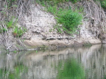 Diet River (folyó), fizikai és földrajzi jellemzők, a forrás aktuális, medence, kereskedelmi