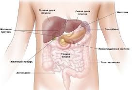 Raza X a cavității abdominale a uzi-ului cavității abdominale, prețurile pentru serviciile din clinică