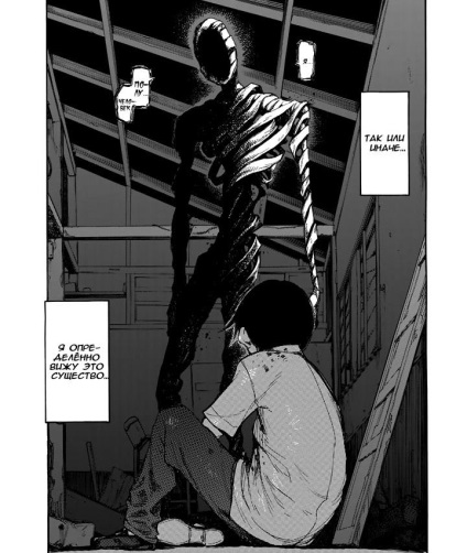 Revizuirea casei manga ajin - manga