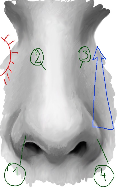 Desenarea nasului unei persoane - tutoriale Adobe Photoshop
